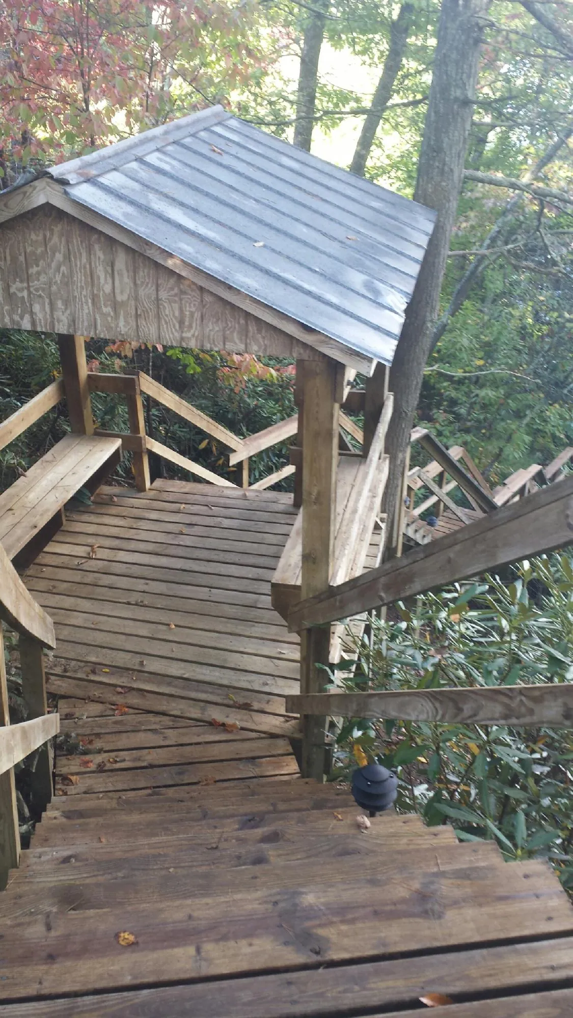 Metal roofed shelter over wooden steps on a wooded walkway — Skylight Repair & Installation work by our crew in Lone Oak